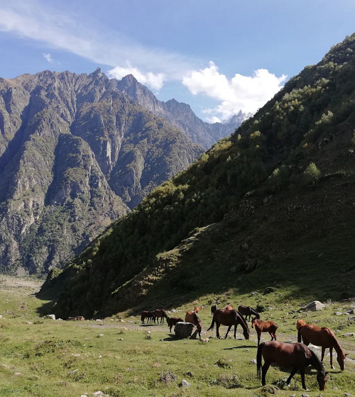 Тур в Грузию на 5 дней. Горы и Море - Cool Georgia Travel
